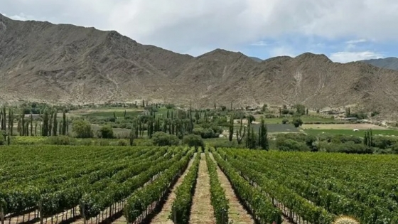 Cachi va por un reconocimiento mundial y sorprende con sus paisajes
