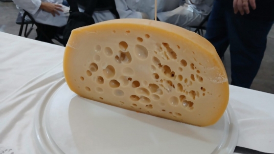 Argentina llevará doce quesos al World Cheese Awards 2025 en Suiza