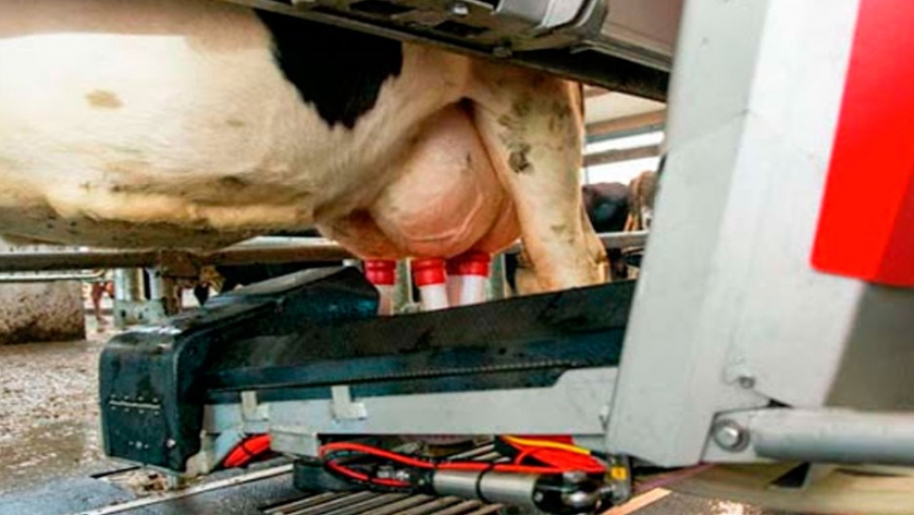 El caso Smart Farming: la revolución digital de la agricultura puede aplicarse también en la lechería y la ganadería de carne