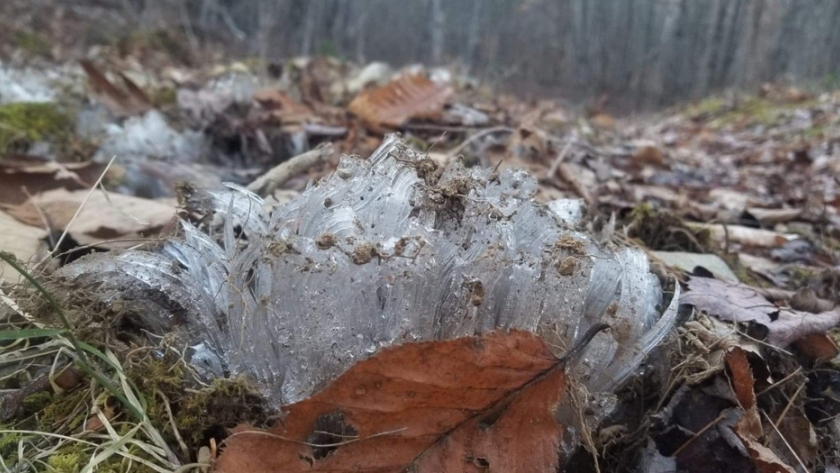 Los inviernos más cálidos significan más ciclos de congelación-descongelación, y más emisiones, para los campos de Canadá