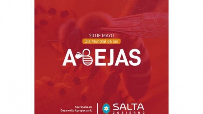 El Gobierno destaca la importancia de la apicultura salteña