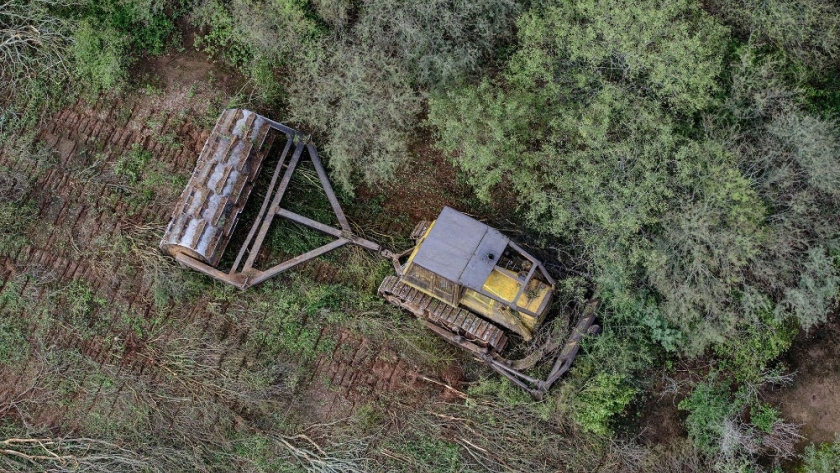 Lanzaron una consulta popular para definir si los desmontes ilegales e incendios deben ser delitos penales