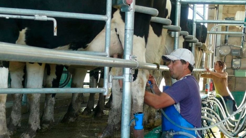 Suba del 3% en el precio de la leche para los productores