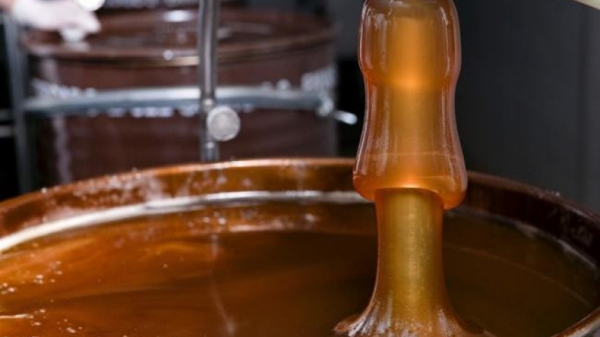Brindan asistencia técnica a productores de miel de Agua Dulce