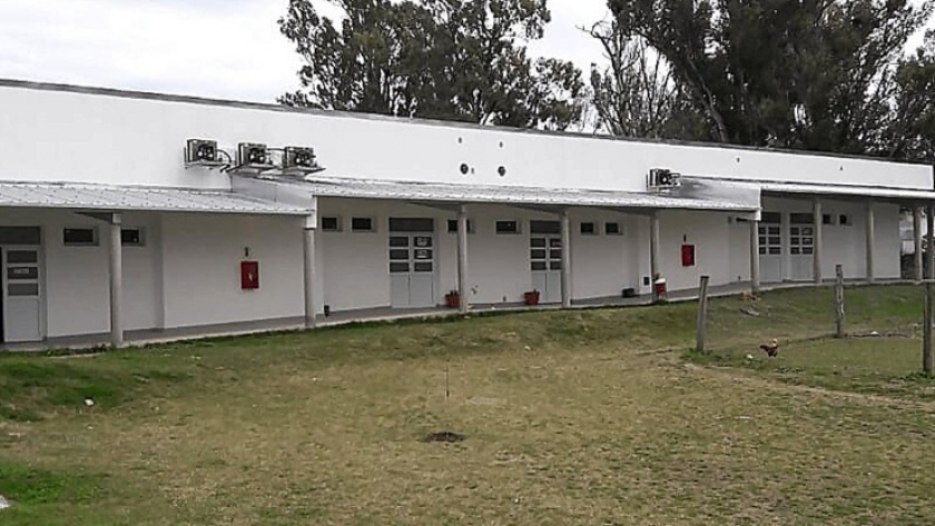 Alcanza un 80 por ciento de ejecución la obra de la escuela agrotécnica Dr. Pedro Radio de Victoria