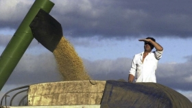 Dos municipios cordobeses limitan el transporte de cargas de granos