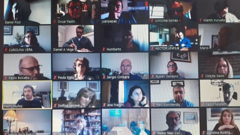Padin participó del encuentro virtual del Consejo Interinstitucional de Ciencia y Tecnología