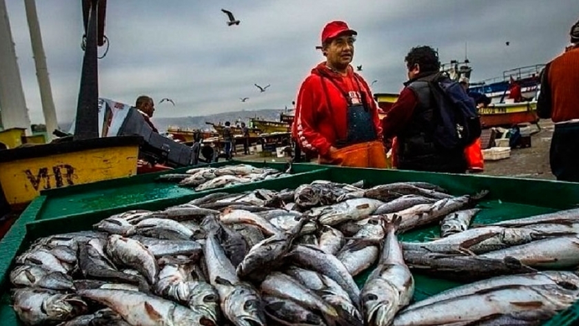 Río Negro acuerda la implementación del Parte de Pesca Electrónico