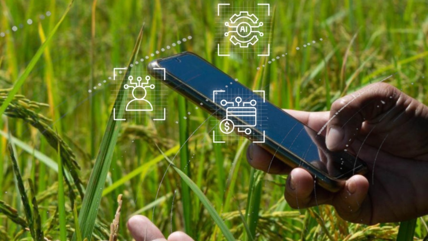 La inteligencia artificial gana terreno para optimizar el manejo y la producción de los cultivos