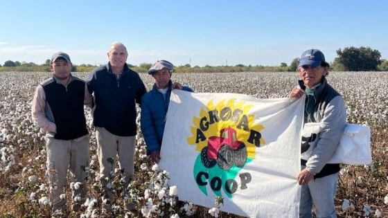 Apoyo a productores algodoneros de Apolinario Saravia