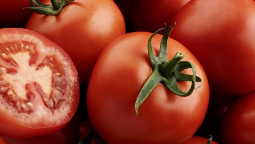 Productores de jitomate mexicano rechazan arancel de EE.UU.: “No hay país que pueda reemplazarlo”