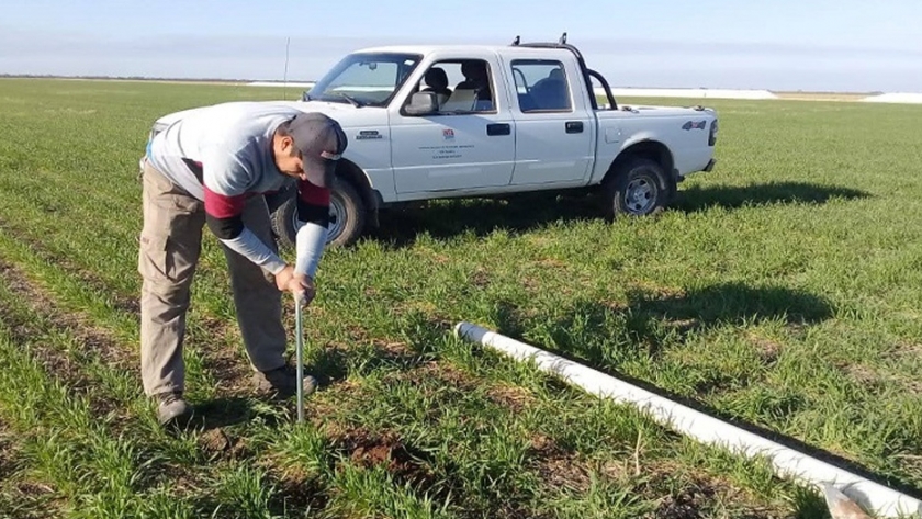 Agro adaptativo: Ajustar la demanda agrícola a la oferta variable de agua