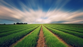 Sustainable Agtech Challenge