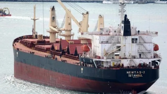 Un barco que transportaba granos argentinos fue atacado en el Mar Rojo