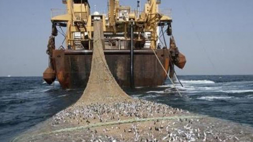 Pesca trabaja en pos de mejorar el monitoreo del ecosistema marino