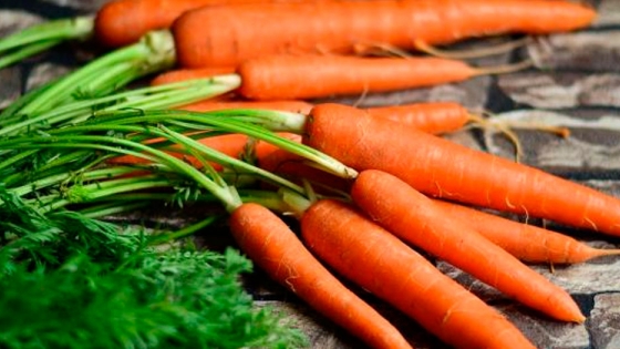 Cómo sembrar zanahorias, paso a paso