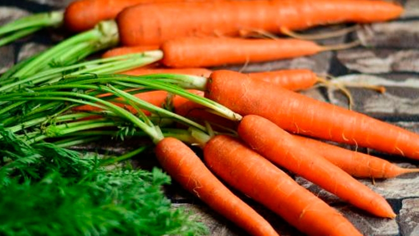 Cómo sembrar zanahorias, paso a paso