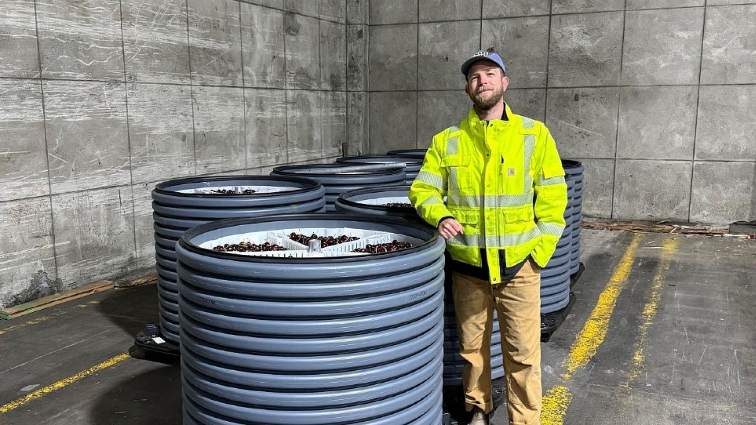 RipeLocker develops container-sized vacuum storage to expand global produce markets