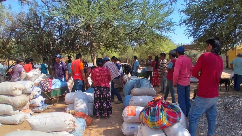 En el oeste formoseño, el Gobierno provincial fomenta la producción de harina de algarroba