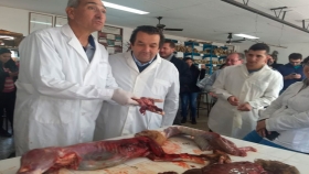 La Pampa, fortalecen controles para producir alimentos de origen animal seguros para su consumo