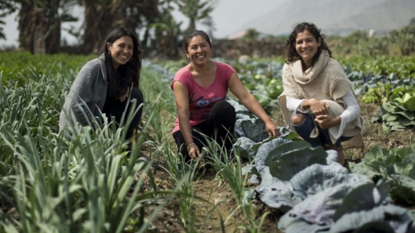 "Los jóvenes agricultores se sienten orgullosos de trabajar y producir"