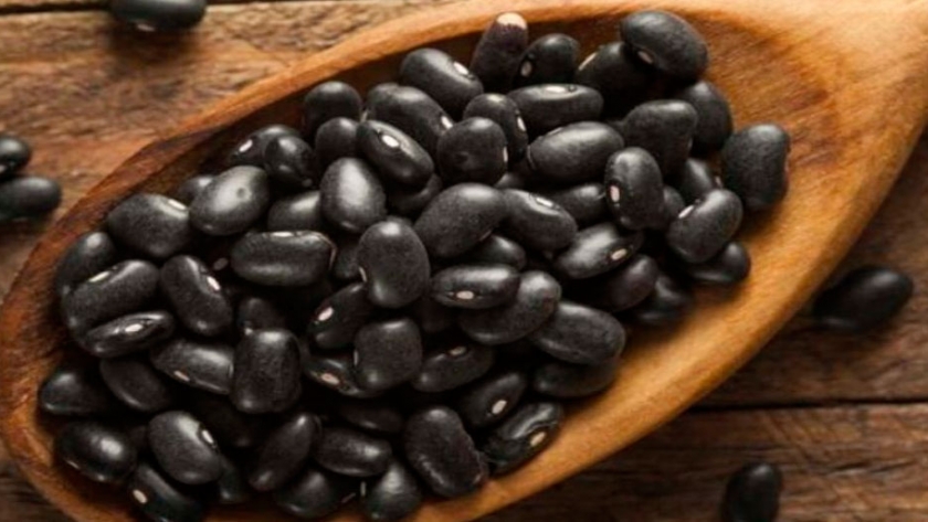 El 70% de la producción de porotos se concentra en Salta