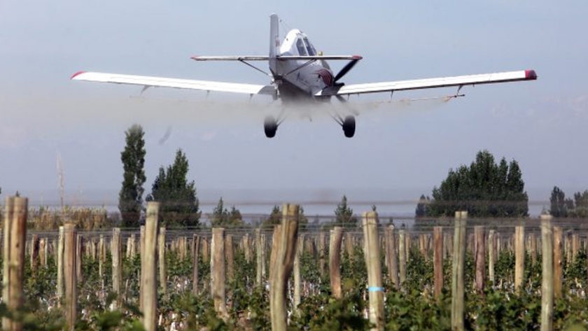 Polilla de la Vid: avance del 80% en las aeroaplicaciones en los oasis Norte y Este
