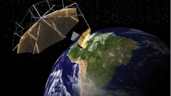 Un nuevo satélite busca desvelar los secretos ocultos de los bosques
