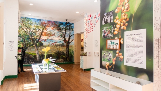 El Jardín Botánico estrenó un Centro de Interpretación que guía a los visitantes en el conocimiento de las plantas