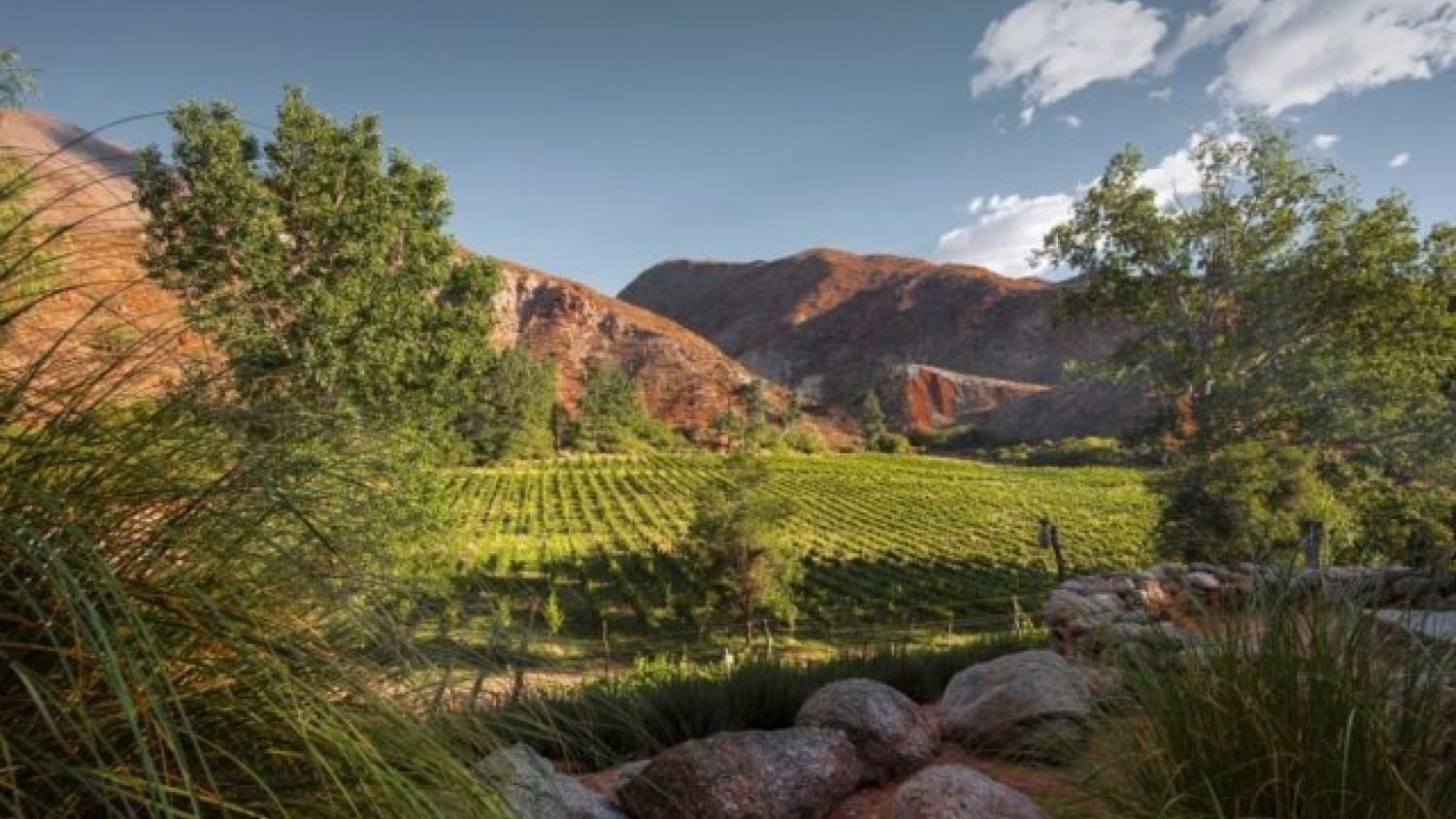 Vinos de altura en los Valles Calchaquies: calidad reconocida, pero con fuertes límites logísticos y comerciales