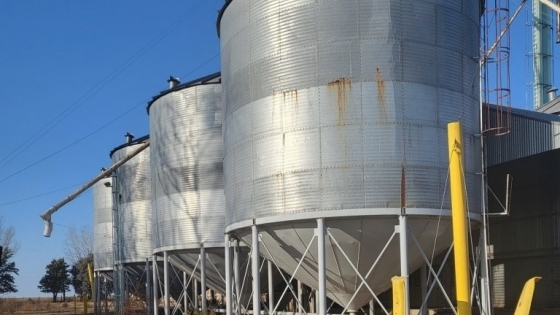 AFIP detectó faltantes de granos por $188 millones en una planta de acopio en Bahía Blanca