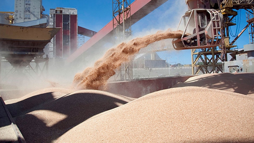 Alivio para el gobierno :ingresarán más de US$ 11.200 millones por agroexportaciones