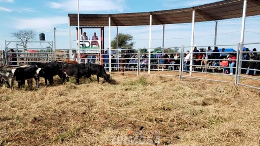 Sostenido acompañamiento del gobierno provincial y Nación a pequeños productores ganaderos del oeste