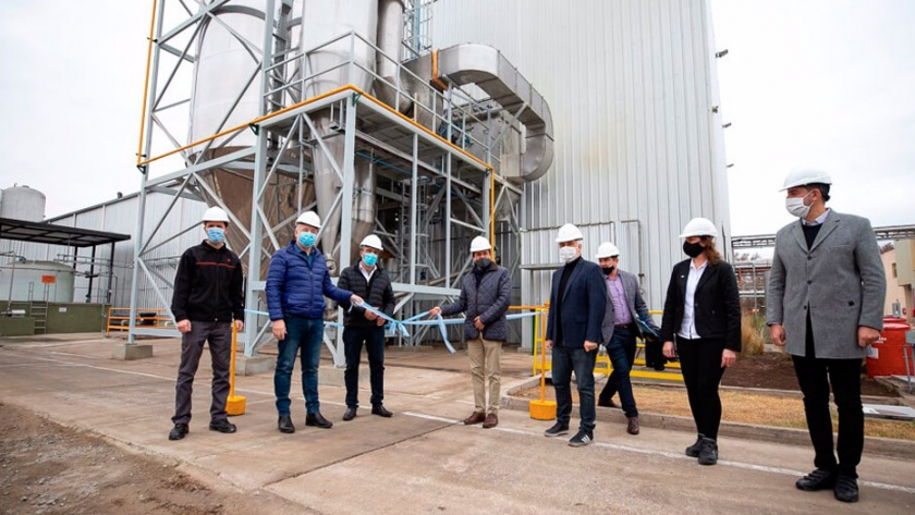 En Córdoba, se inauguró la primera planta de concentrados proteicos vegetales del país