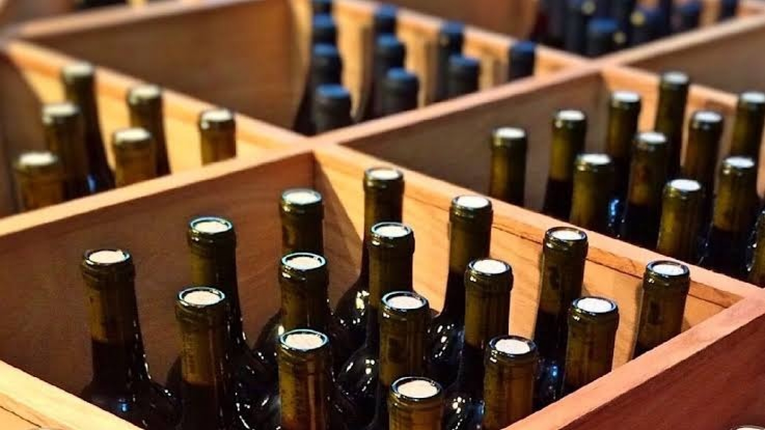Las exportaciones vitivinícolas argentinas crecieron 24% en septiembre