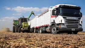 El Ministerio de Transporte reglamentó la tarifa de referencia en 22.5% para los servicios de transporte automotor de cargas de cereales, oleaginosas y derivados