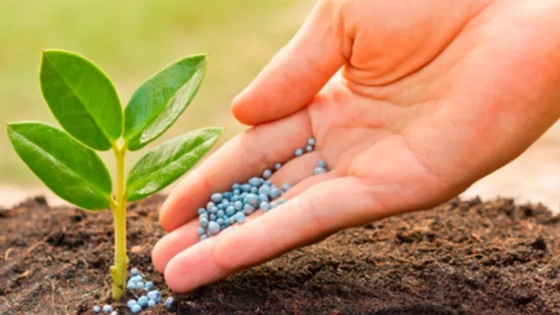 Siembra de fina: urea con buen precio y los fosfatos bajo presión internacional