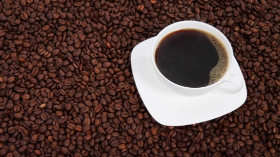 La revolución del consumo consciente: los argentinos redescubren el café a través de su origen