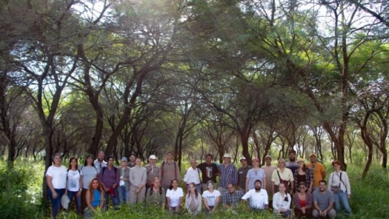 El algarrobo blanco como eje del proyecto del INTA para la biodiversidad y producción del Chaco Argentino