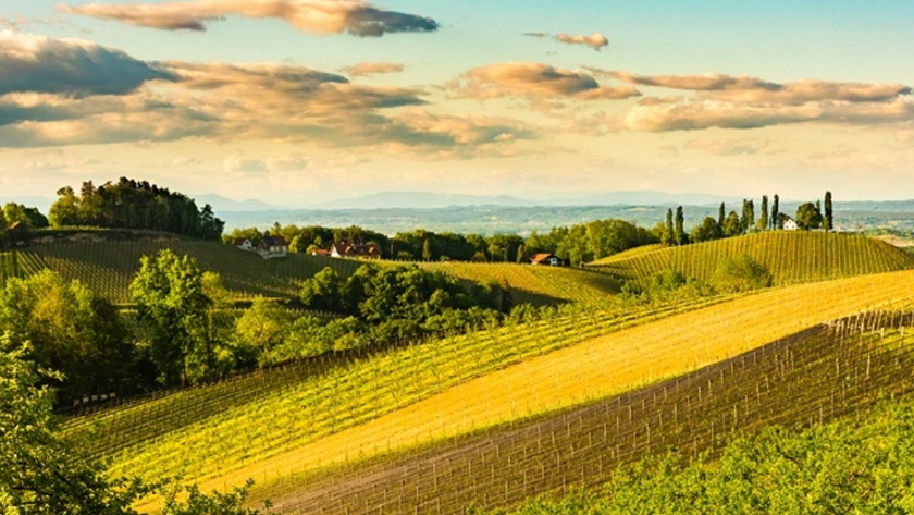 Agroecología: la respuesta a los desafíos agrícolas, sociales y medioambientales de Europa  