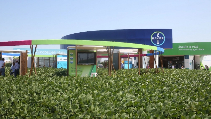 Bayer invertirá US$100 millones en el agro argentino