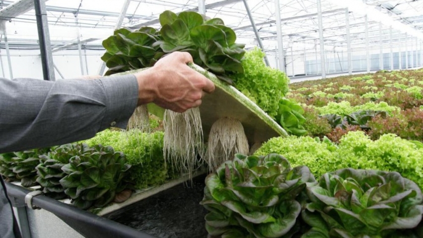 El IDR capacitó a más de 20 productores sobre comercialización digital de agroalimentos