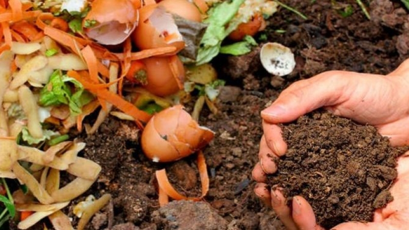 Todo lo que tenés que saber sobre el vermicompost: el abono orgánico del momento