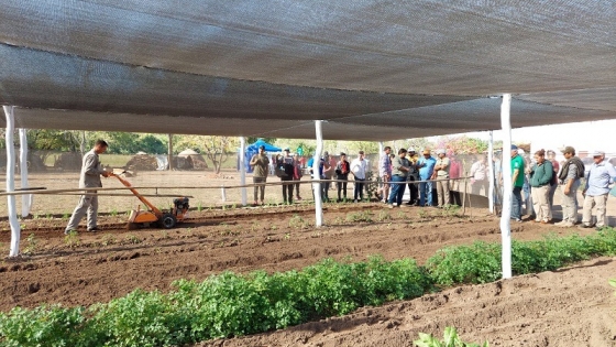 Formosa: Interesante encuentro sobre producción hortícola y comercialización en Palo Santo