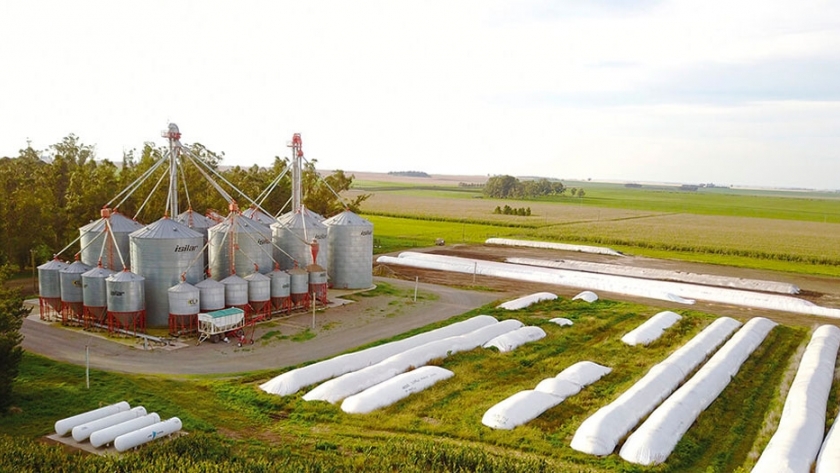 Control de las micotoxinas en los silos