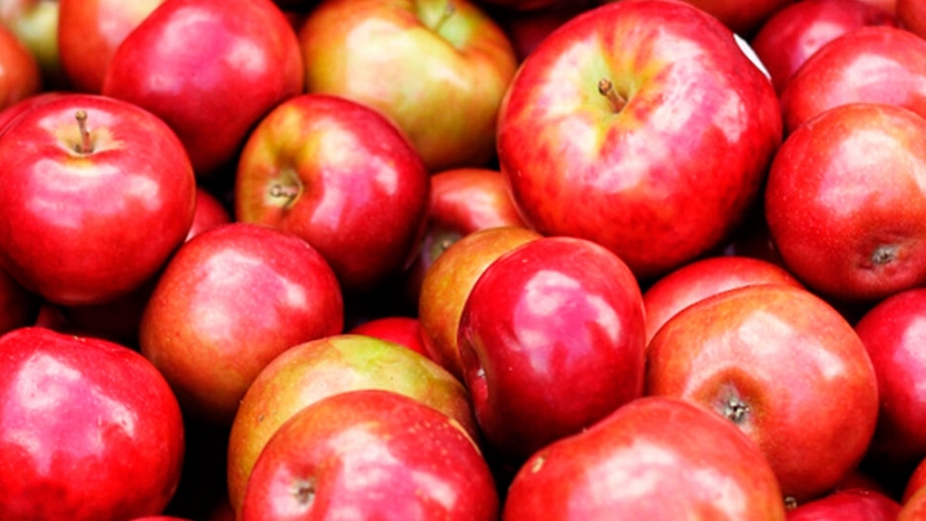 Por mayor control sanitario, disminuyen los problemas en los envíos de peras y manzanas a Brasil