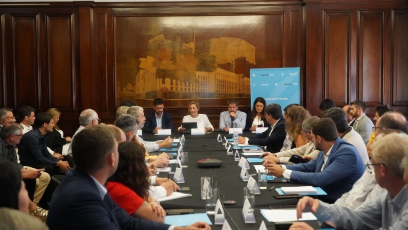 El Consejo Federal de Energía analizó mecanismos para fomentar la eficiencia energética y la generación distribuida