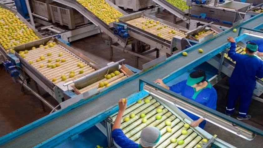 Argenti Lemon logró el derecho de uso del sello Alimentos Argentinos, una elección natural