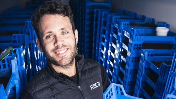 Insect Farming Can Work in Europe, But Not as a Protein Play