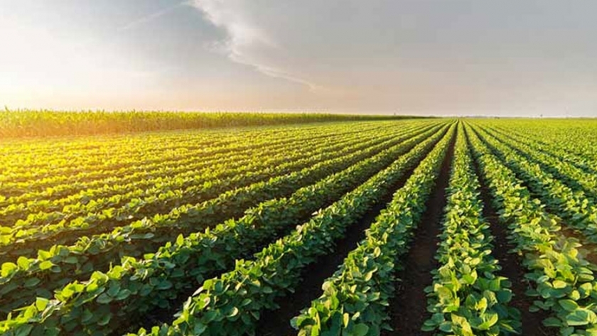 Brasil utiliza ciencia y tecnología para desarrollo agrícola